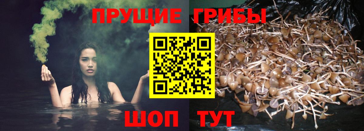Галлюциногенные грибы ЛСД Богородицк